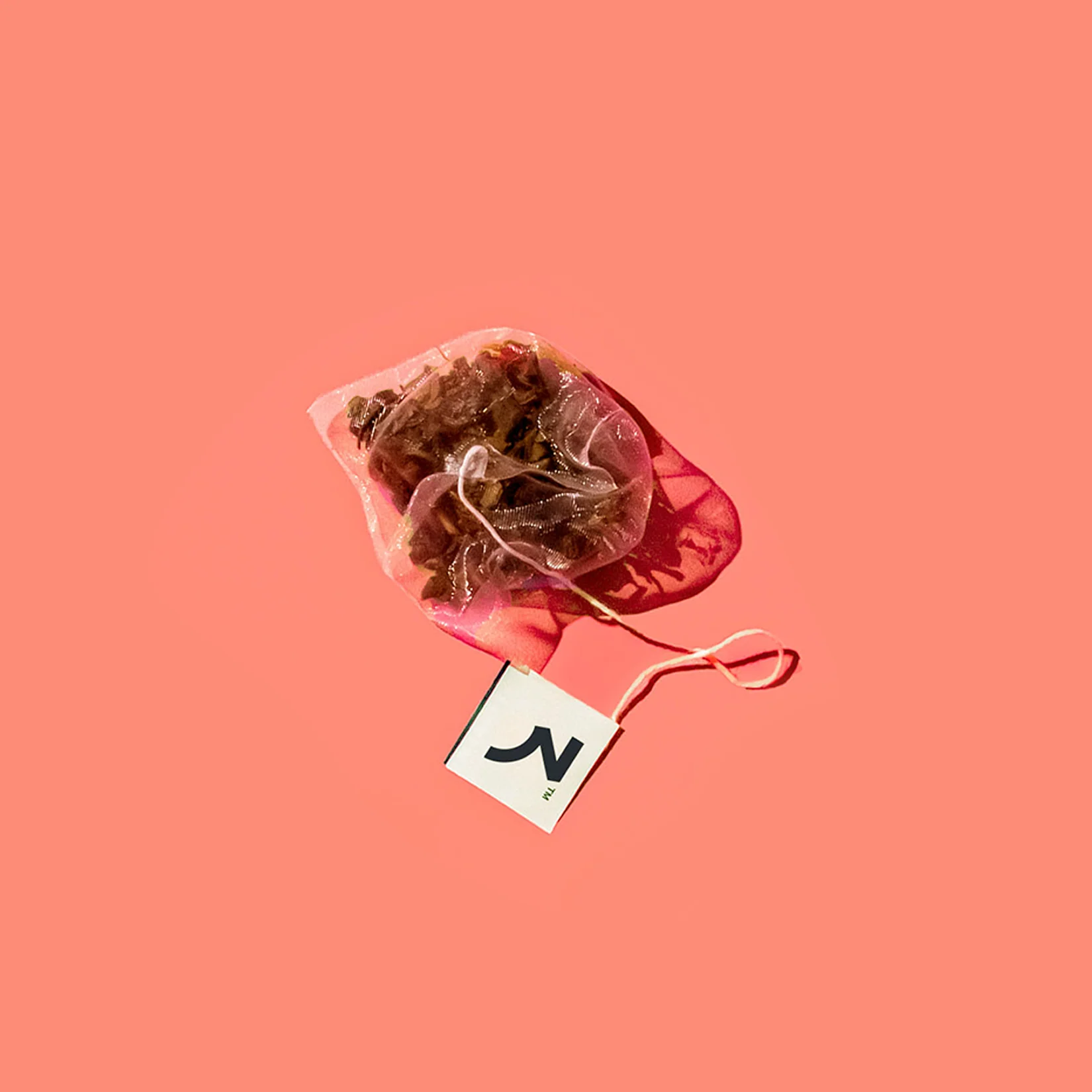 Cinnamon Apple Tea Bags - Image 9