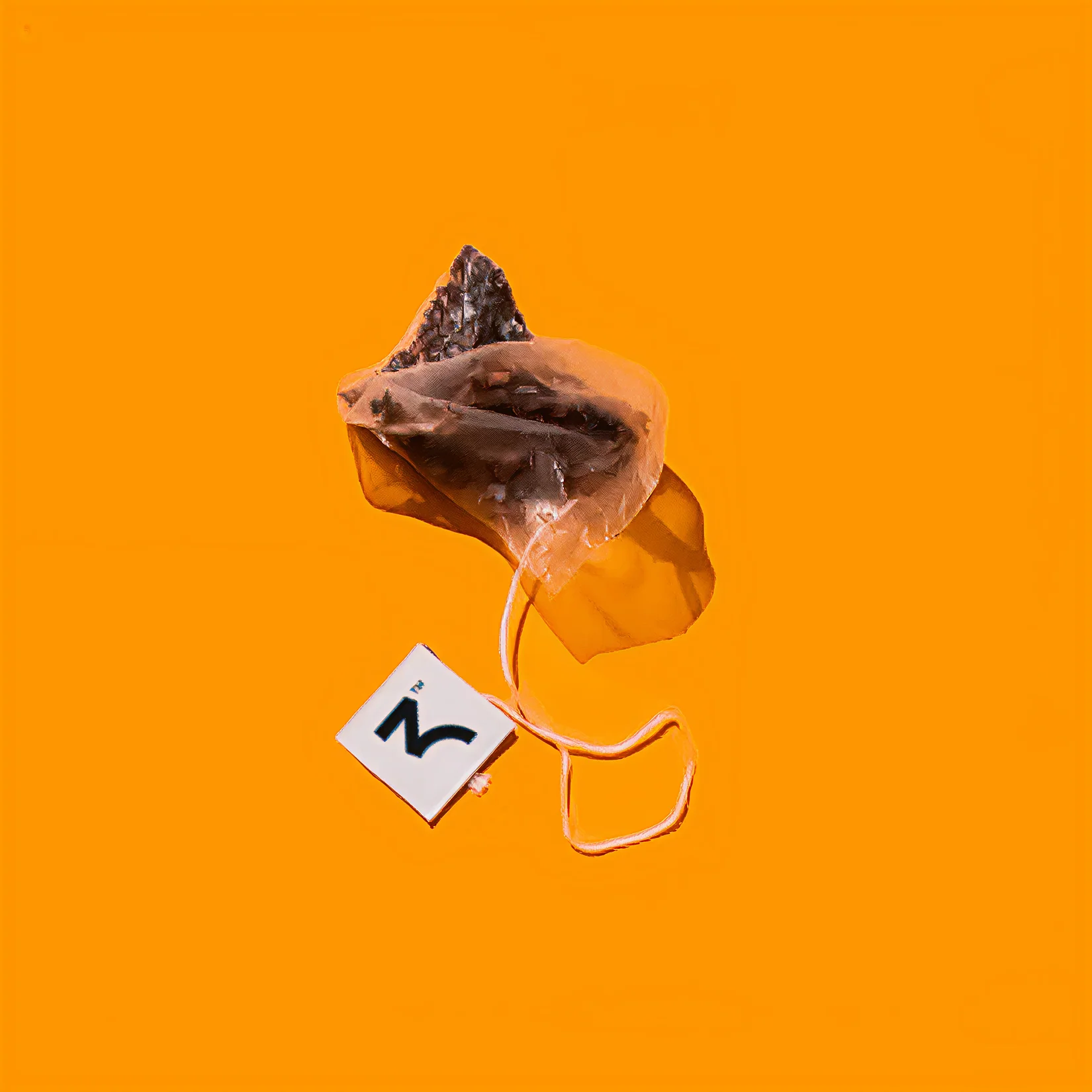 Spicy Masala Chai Tea Bags - Image 11